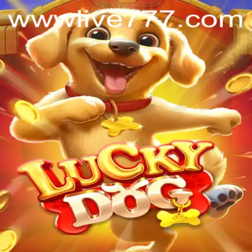 Unveiling the Thrilling World of LuckyDog and the Influence of Live777